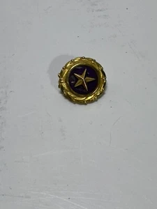 Gold Star Lapel Pin 1 August 1947 Act of Congress Tie Tack Mother Family Vintage - Picture 1 of 7