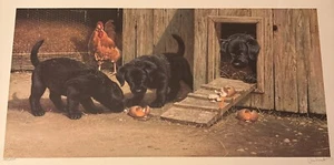 “Mischief Makers” Wildlife Art Print By Jim Lamb S/N LE 1484/2000 - Picture 1 of 6