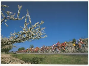 Postal de ciclismo - Trofeo Luis Puig 2000 - Flores de primavera de bienvenida - Imagen 1 de 2