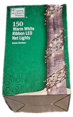 HOME ACCENTS HOLIDAY Home Accents 150 LED Ribbon Net Lights - Warm White (7.5 ft. X 8 in. Lighted)