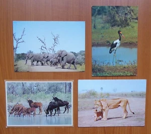 4 x POSTCARDS :: WILDLIFE OF SOUTH AFRICA - Picture 1 of 2