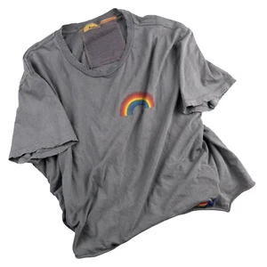 Aviator Nation Shirt Womens Large Gray Rainbow Crop Top Distressed Boyfriend Tee - Picture 1 of 13