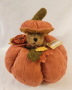 Boyds Home Collection - Cosecha Calabaza y Amigo, Peluche Oso Otoño 811334 - Imagen 1 de 6