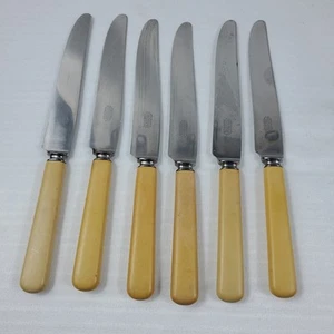 6 Pezzi Coltelli da Pranzo Universali Resistenti Inox Manici in Celluloide - Foto 1 di 6