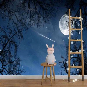 Meteor Appropriate 3D Full Wall Mural Photo Wallpaper Printing Home Kids Decor - Picture 1 of 9