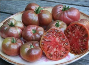 Tomate tradicional cherokee variedad muy antigua semillas - seeds huerto - Imagen 1 de 1
