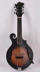 Hand Carved F Style Mandolin, 6 String, Solid Spruce Top, Maple Plywood Body - Picture 1 of 13