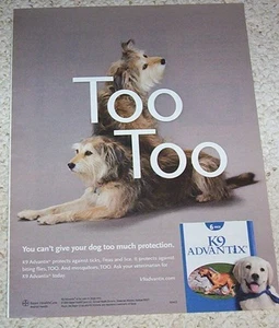 2009 ad page - Cute shaggy dog Advantix magazine page advertising PRINT ADVERT - Picture 1 of 1