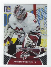 2018-19 Guelph Storm (OHL) Anthony Popovich (Flint Firebirds)
