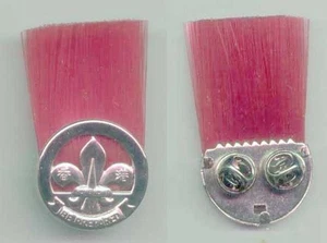 Ausgestorbene 2. Ausgabe SCOUTS OF HONGKONG - ASSISTENT SCOUT LEADER METALLFAHNE - Bild 1 von 3