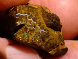 Boulder Matrix Opal 25,60 Karat Top Rot Gelb Grün Feuer - Bild 1 von 5