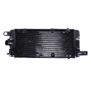 Radiator Grille Guard Cooler For Honda VT600 1988-2007 Black - Picture 1 of 5