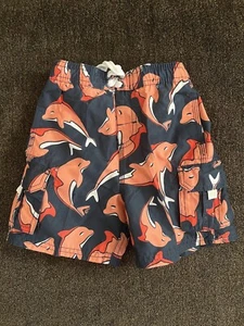 Kanu Surf Swim Trunks Little Boy Size 4t - Picture 1 of 3