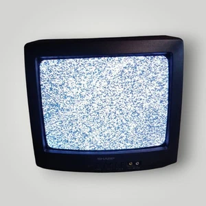 Sharp 13N-M100B 13" Color Retro Gaming CRT TV No Remote Tested - Picture 1 of 7