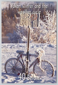 Postcard Yukon Winter and the Weather Cycle Frozen Bicycle Alaska 1998 - Picture 1 of 2
