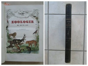LEREBOULLET : ZOOLOGIE DU JEUNE ÂGE, 1860. 33 planches couleurs. - Picture 1 of 24