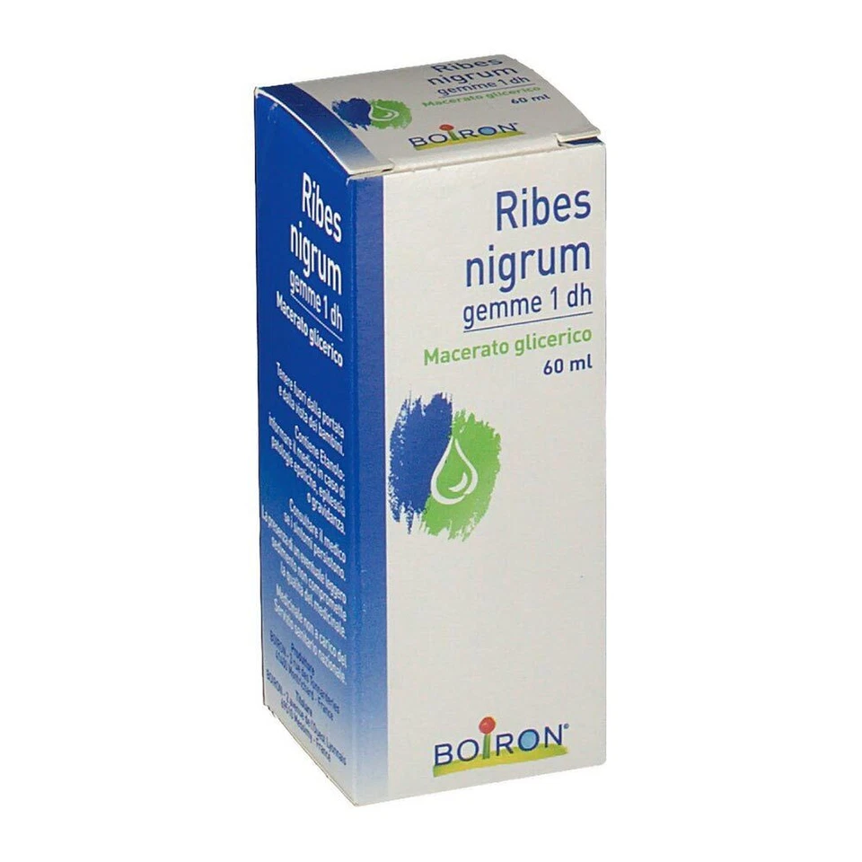 Boiron Ribes Nigrum Gemme 1DH Medicinale Omeopatico, 60ml