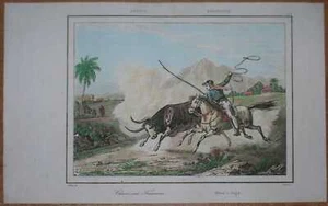 1837 Druck BRASILIEN: JAGDSTIERE (#43) - Bild 1 von 1