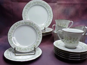 Noritake Savannah Rim Platinum 17 Pieces - Picture 1 of 8