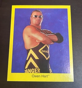 1998 Cardinal Industries, Inc. OWEN HART. WWE Wrestling Card. - Picture 1 of 2