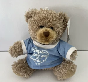 Somebody Loves you in Winooski VT Teddybär 7 Zoll Plüsch mit T-Shirt My Town Kids - Bild 1 von 11