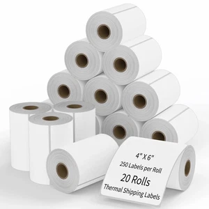 20 Rollos Etiqueta 4x6 Envío Térmico Directo 5000 Etiquetas Zebra Eltron ZP450 2844 - Imagen 1 de 5