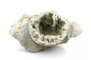 LARGE 7 1/2 Inch x 4 Inch RARE Michigan Geode Fossil Specimen EBS7144 - Picture 1 of 3