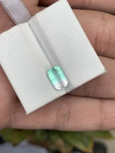 2.77Cts Beautiful Bicolour Tourmline Dimension 10x6x4.3 - Picture 1 of 5