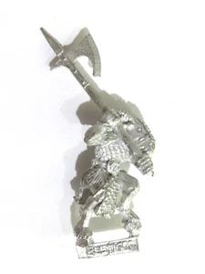 Warhammer Chaos Metal Bestigor (aleatorio, sencillo) - Imagen 1 de 1