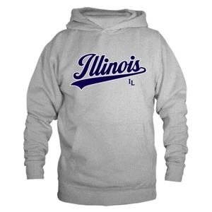 State of Illinois Swoosh IL Graphic Hoodie - Bild 1 von 10