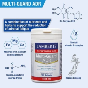 Lamberts Multi-Guard ADR 120 Tablets With Herbs, CoQ10 and Taurine. - Picture 1 of 4