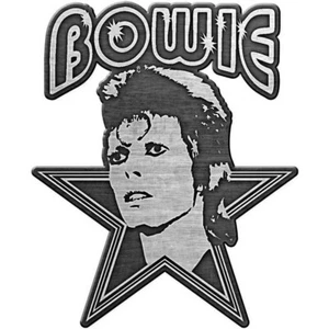 David Bowie Aladdin Sane Emaille Pin - Bild 1 von 3