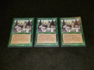 MTG 1x Legends green rare MP Italian FBB Master of the hunt - ships w/ tracking - Picture 1 of 2
