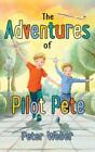 Peter Weber The Adventures Of Pilot Pete Gebundene Ausgabe Us Import