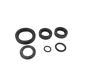 KIT SET COMPLETO PARAOLI E O-RING MOTORE PER MOTO GUZZI DINGO - DINGO CROSS - Picture 1 of 2