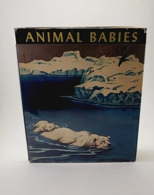Illustrator Signed! ANIMAL BABIES Margaret Bauer Jacob Bates Abbott 1949 HCDJ - Image 1 of 4
