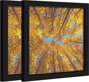 8X8 Picture Frame Black, Diploma Certificate Frame Set of 2, Display Pictures 8X - Picture 1 of 12