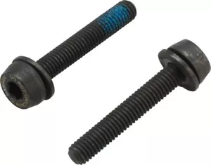 Campagnolo H11 Disc Caliper Mounting Screws 29 mm - Picture 1 of 1