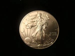 USA Silber 1 Oz. 1 Dollar 2015 Ch UNC. Kostenloser Versand in die USA Co A. - Bild 1 von 3