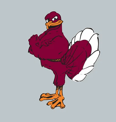 Sticker - Virginia Tech Hokies Logo - Die Cut Laminated Vinyl Decal