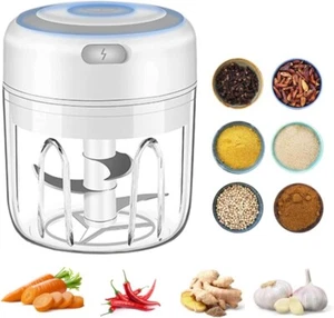 250ML Electric Food Chopper - Mini Meat Mincer, Onion Garlic Vegetable Chopper - Picture 1 of 9