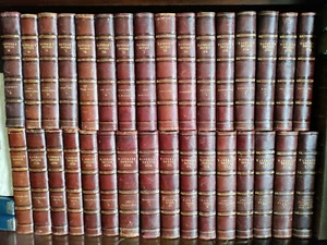 Waverly Novels_Sir Walter Scott_Cadell Edition_24 of 48 vols_Very Good Condition - Picture 1 of 9
