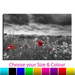 Poppy Landscape Floral Single Canvas Wall Art Picture Print 13a - Foto 1 di 11
