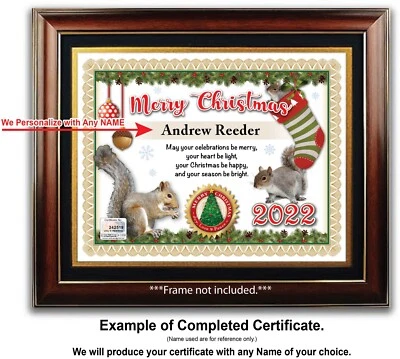 CERTIFICADO DE NATAL PERSONALIZADO - Amante de esquilo natureza ao ar livre - ÓTIMO PRESENTE - Imagem 1 de 2