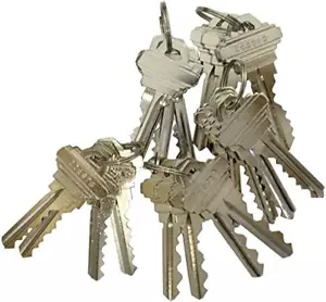 20 Pieces SC1/SC4 Compatible Precut Keys 6 Pins 5 Sets of 4 SC Keys - Picture 1 of 12