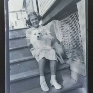 Vintage Photo Negative Film Girl With Spitz Dog On Her Lap - Picture 1 of 4