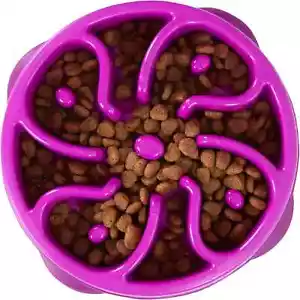 Outward Hound Fun Feeder Slo Bowl, Slow Feeder Dog Bowl, Medium/Mini, Purple - Picture 1 of 3