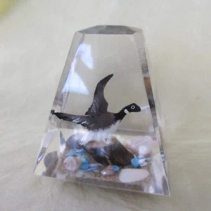 Souvenir Vintage ACRYL Möwe Strand Sand Muscheln Muscheln 3 7/8" dreieckig - Bild 1 von 8