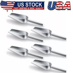 6Pcs 6Ounce Small Stainless Steel Ice Scoop Metal Mini Candy Little Sugar Cream - Picture 1 of 8