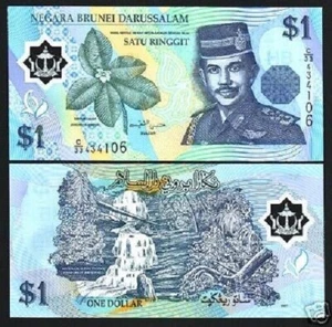 Brunei 1 RINGGIT P-22 2008 POLYMER UNC WATERFALLS Bruneian Currency BANK NOTE - Picture 1 of 4